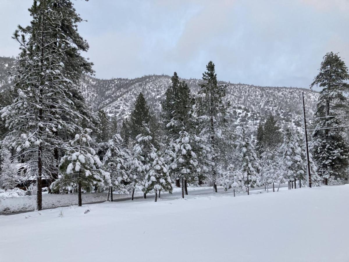 The Old Bear Bnb Pine Mountain Club Buitenkant foto
