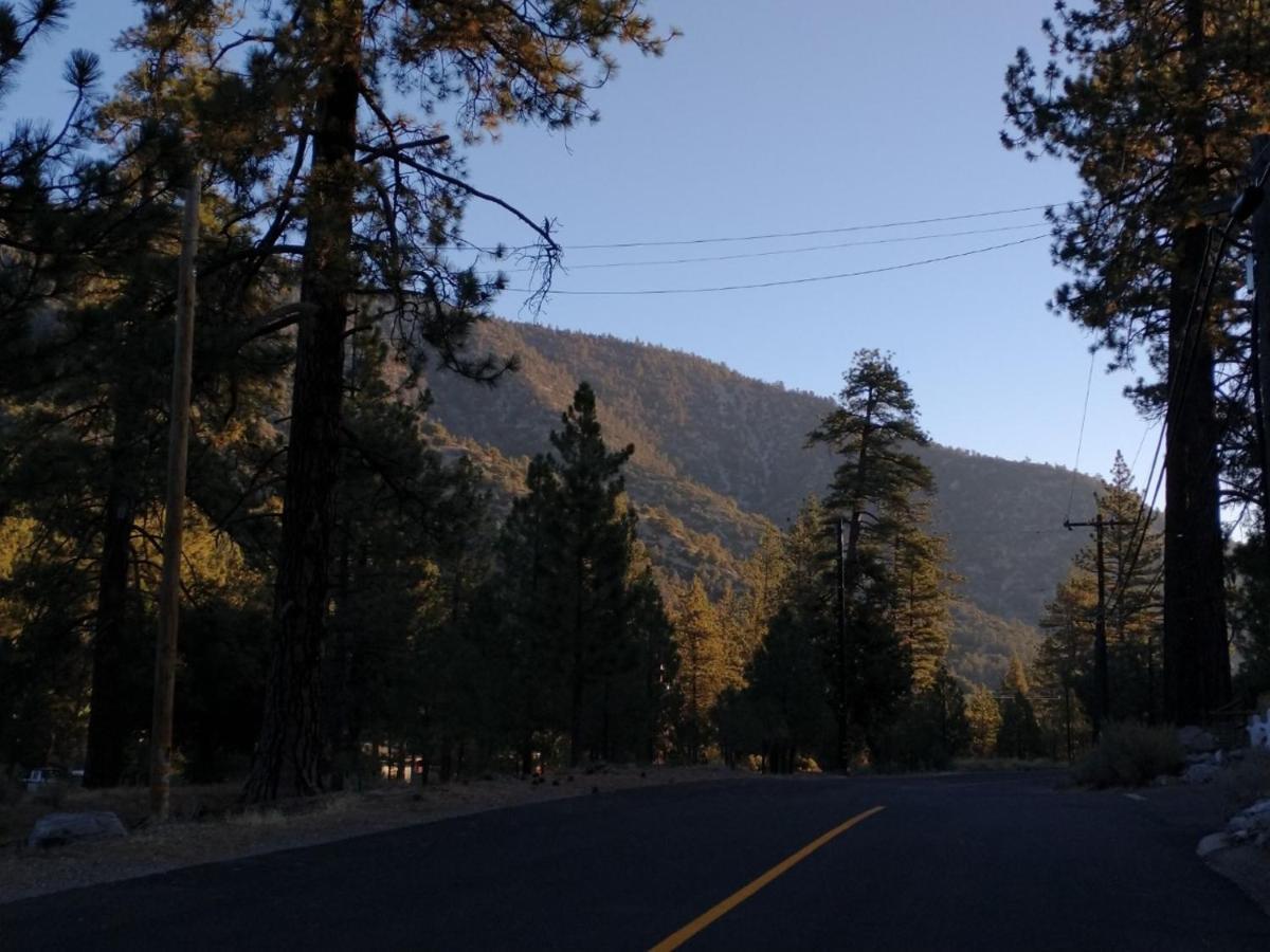 The Old Bear Bnb Pine Mountain Club Buitenkant foto
