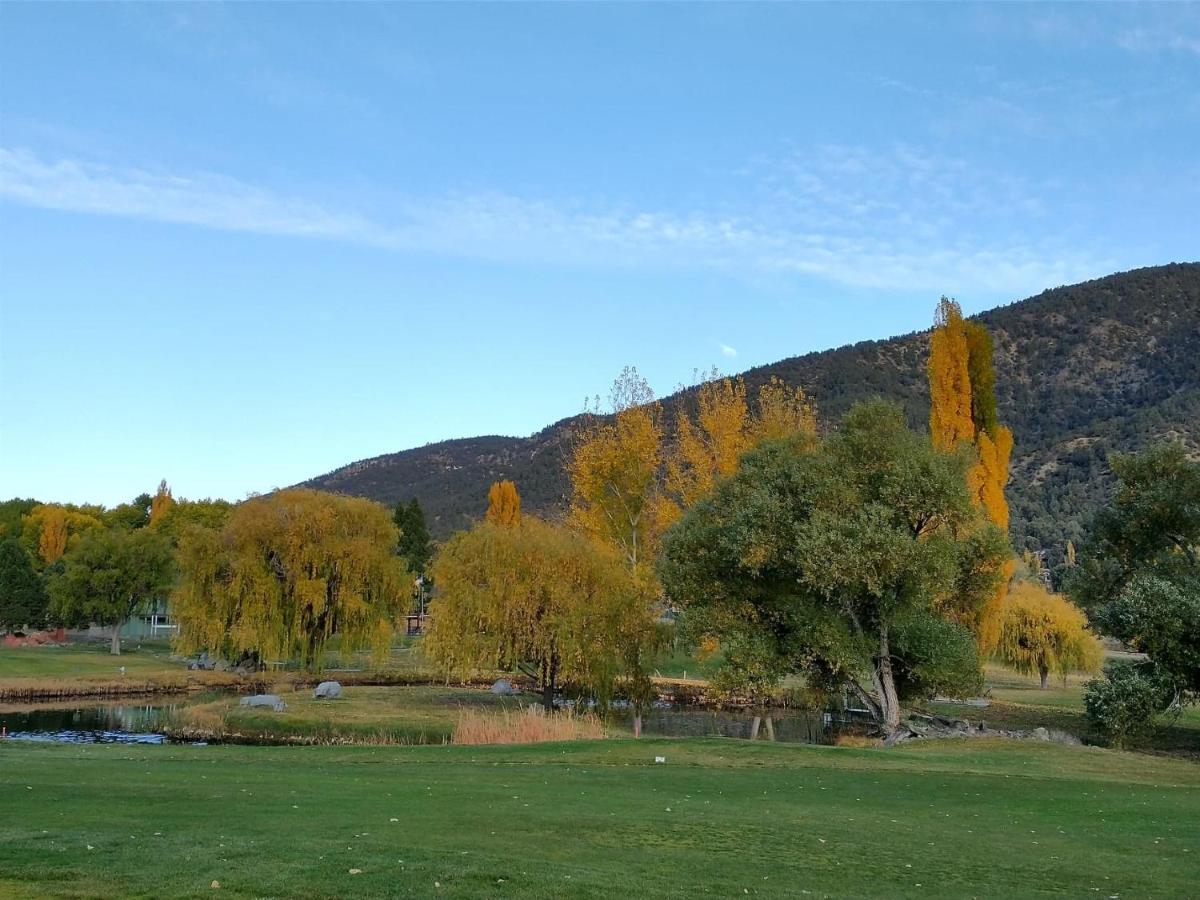 The Old Bear Bnb Pine Mountain Club Buitenkant foto