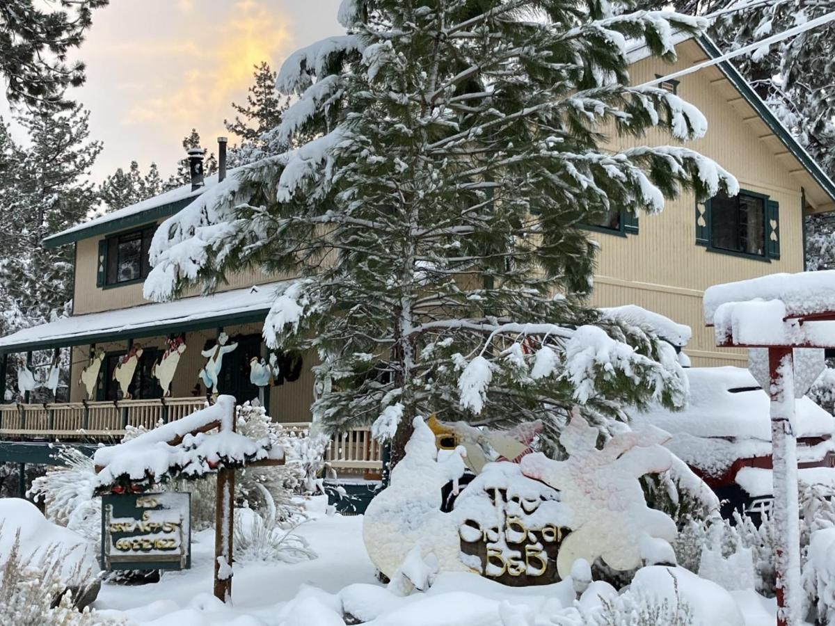 The Old Bear Bnb Pine Mountain Club Buitenkant foto